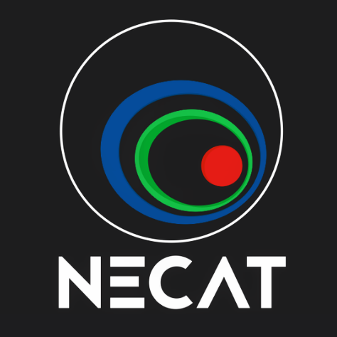 Revista NECAT