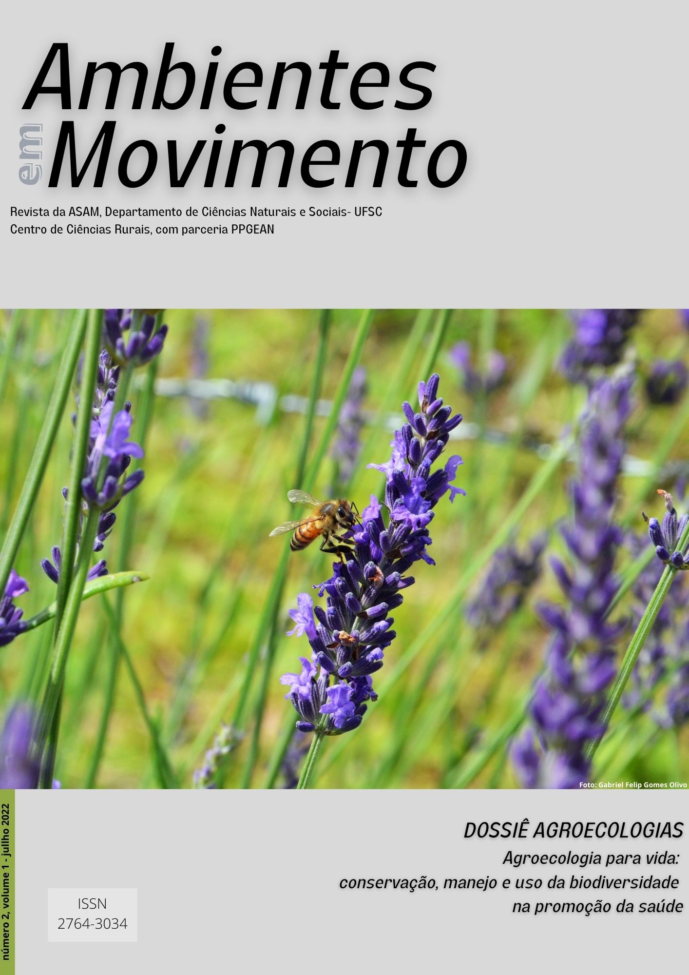 Capa da revista Ambientes em Movimento com Dossiê Agroecologia, mostrando a foto de uma plantação de lavanda sendo polinizada por uma abelha